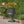MGO Garden Urn Planter