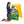 Plasticade 130-Y Signicade A Frame Plain Portable Folding Sidewalk Sign, Yellow - TRAPSKI