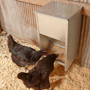 Little Giant 25 lb Large High Capacity Galvanized Steel Poultry Feeder w/Grid