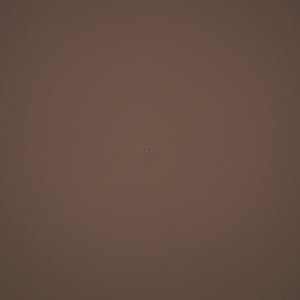 HC Companies Classic Plastic 21 Inch Round Flower Plant Pot Deep Saucer, Brown