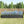 Raised Garden Bed Kit - Metal 7.6x3.7x0.98 ft Black