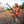 Upland 2.0 Hunting Vest