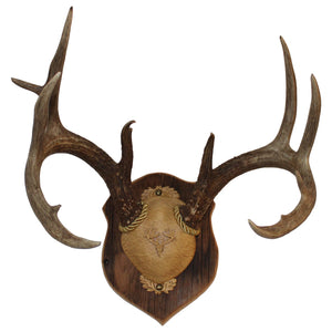 Antler Plaques - TRAPSKI