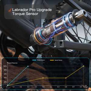 Labrador Pro Ebike