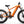 GoldenR Pro Ebike