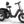 Rottweiler Etrike