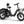 Rottweiler Etrike