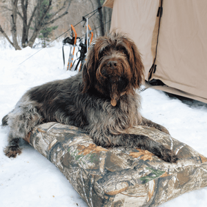 Dog Bed
