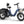 Rottweiler Etrike
