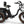 Alaskan Etrike