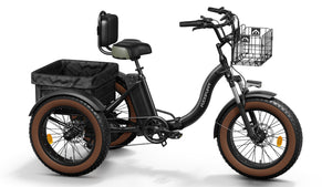 Alaskan Etrike