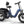 Rottweiler Etrike