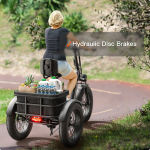 Husky Plus Etrike