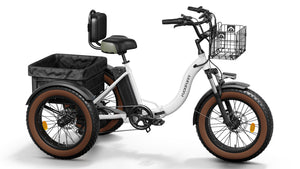 Alaskan Etrike