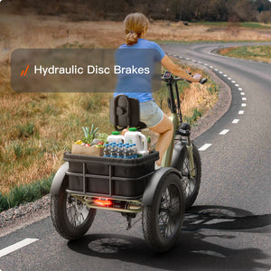 Husky Etrike