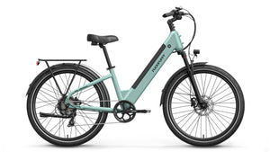 Poodle Ebike