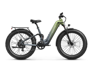 Labrador Pro ST Ebike