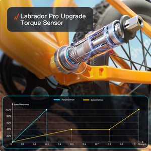 Labrador Pro Ebike