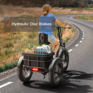 Husky Etrike