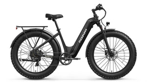 Beagle 2 ST Ebike