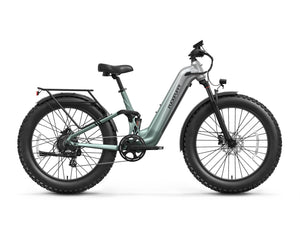Labrador Pro ST Ebike