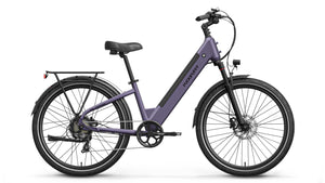 Poodle Ebike