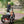 Husky Plus Etrike