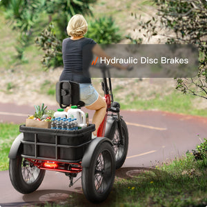 Husky Plus Etrike