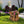 Majestic Eagle Garden Planter Pot on Tree Stump Base