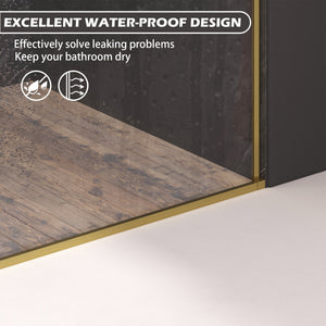 Dual Sliding Frameless Shower Door 44-48 in W x 75 in H