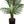 57-Inch Tall Artificial Palm Tree