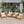 Outdoor Acacia Wood Club Wooden Armchair with Cushions (Set of 2)
