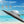 Round Cantilever Umbrella with Center Pole