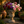 MGO Garden Planter in Rust