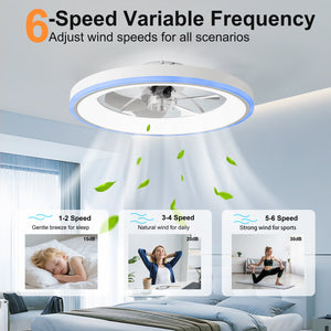 23.6" Modern RGB Ceiling Fan with Lights
