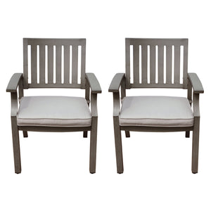 Outdoor Modern Aluminum Dining Chair with Cushion (Set of 2)