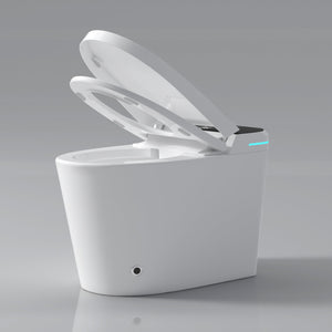 Modern Smart Toilet with Bidet Seat Built-In