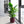 3 Pieces Ceramic Flowerpot Set, Bean Paste Red