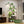 9 Tiered Indoor Plant Stand With 5 Adjustable Grow Lights