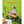 Pull-Along Wagon for Kids, 39 Inch Toddler Wagon with Wooden Panels & Handle