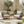 Lucca Outdoor Acacia Wood Chair