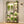 Large Indoor Plant Stand with Grow Light