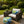 2 Pack Outdoor Lumbar Pillow with Inserts