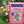 Coast of Maine Organic Natural Potting Soil for Roses and Flowers, 20 Quart Bag