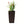 Indoor Outdoor Planter With Automatic Watering System