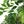 Artificial Ficus Tree With Pot For Home Decor Indoor Plant - Green
