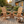 Wooden Outdoor Folding Adirondack Chair Set of 2