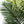 57-Inch Tall Artificial Palm Tree