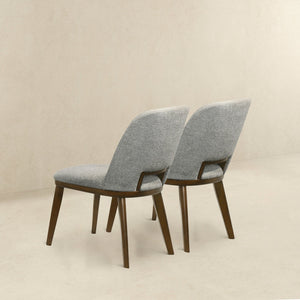 Blake - Modern Dining Chair (Set of 2)
