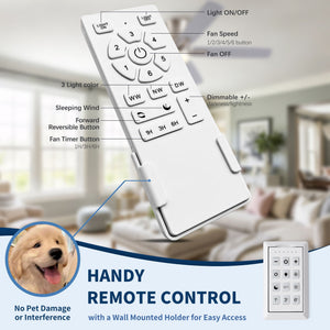 Mordern Flush Mount Ceiling Fan With Light And Remote Control